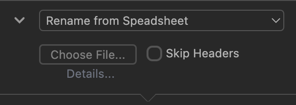 Rename from Spreadsheet