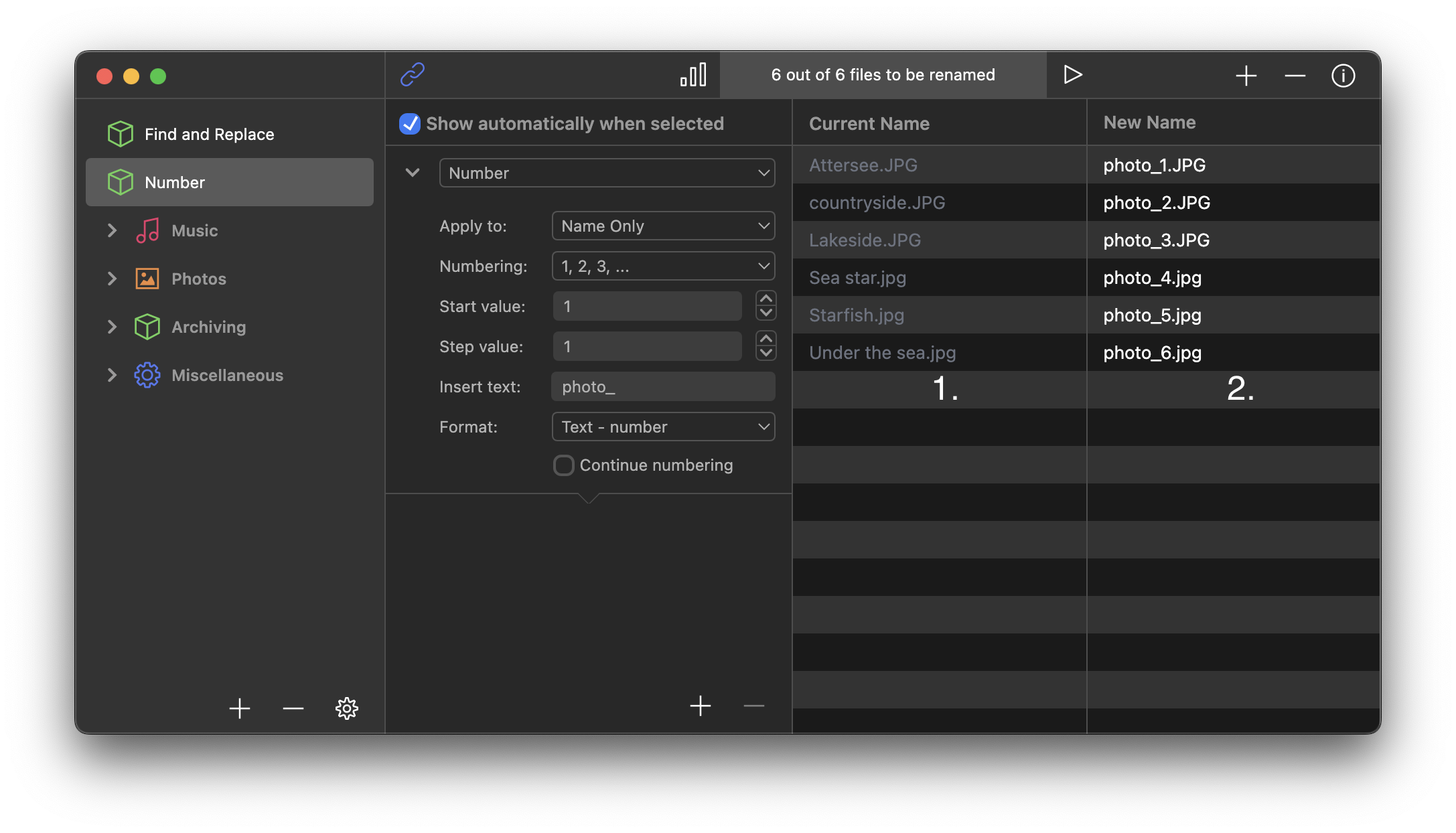 Renamer Window With Files